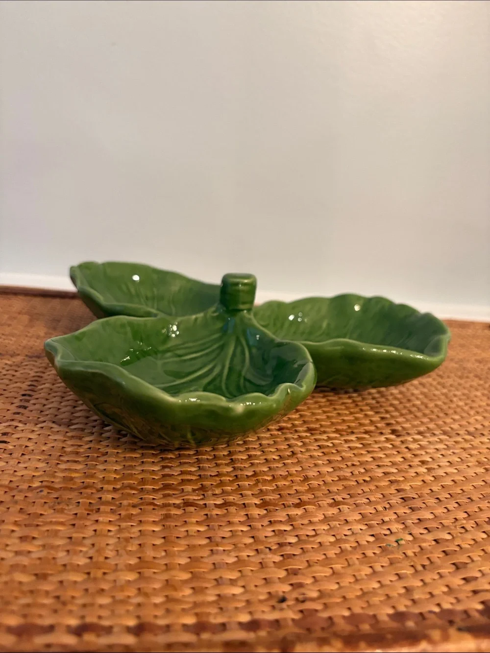 Viva green stylish cabbage